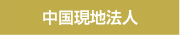 中国現地法人